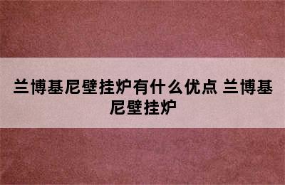 兰博基尼壁挂炉有什么优点 兰博基尼壁挂炉